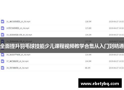 全面提升羽毛球技能少儿课程视频教学合集从入门到精通